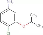 4-Chloro-3-isopropoxyaniline