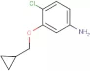 4-Chloro-3-(cyclopropylmethoxy)aniline
