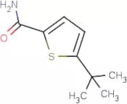 5-tert-Butylthiophene-2-carboxamide