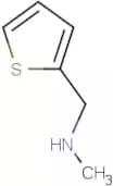 N-Methyl-(thiophen-2-yl)methylamine