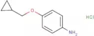 4-(Cyclopropylmethoxy)aniline hydrochloride