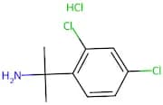 2-(2,4-Dichlorophenyl)propan-2-amine hydrochloride