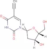 5-Ethynyl-2'-deoxyuridine