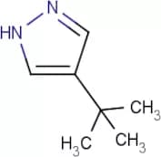 4-tert-Butyl-1H-pyrazole