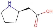 (R)-2-(Pyrrolidin-2-yl)acetic acid
