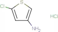 3-Amino-5-chlorothiophene hydrochloride