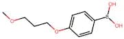 (4-(3-Methoxypropoxy)phenyl)boronic acid