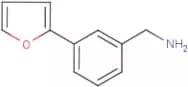 [3-(Fur-2-yl)phenyl]methylamine