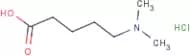 5-(Dimethylamino)-pentanoic acid hydrochloride
