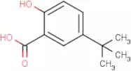 5-tert-Butyl-2-hydroxybenzoic acid