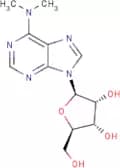 N6,N6-Dimethyladenosine