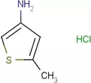 5-Methylthiophen-3-amine hydrochloride