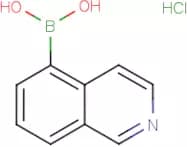 Isoquinoline-5-boronic acid hydrochloride