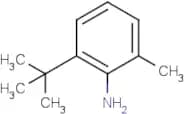 6-tert-Butyl-o-toluidine