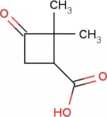 2,2-Dimethyl-3-oxocyclobutane-1-carboxylic acid