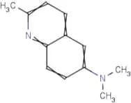 N,N,2-Trimethylquinolin-6-amine