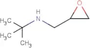 2-Methyl-N-((oxiran-2-yl)methyl)propan-2-amine
