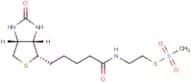 N-Biotinylaminoethyl methylthiosulphonate