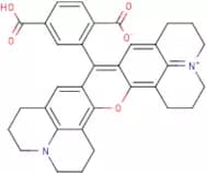 6-Carboxy-X-rhodamine