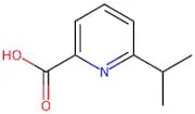 6-Isopropylpicolinic acid