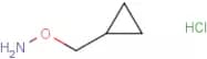 Cyclopropyl methoxylamine hydrochloride