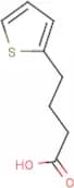4-(2-Thienyl)butyric acid