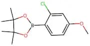 2-(2-Chloro-4-methoxyphenyl)-4,4,5,5-tetramethyl-1,3,2-dioxaborolane