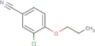 3-Chloro-4-propoxybenzonitrile