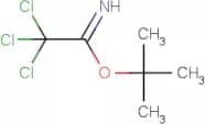 tert-Butyl 2,2,2-trichloroacetimidate