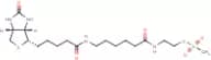 N-Biotinylcaproylaminoethyl methylthiosulphonate
