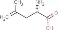 (S)-2-Methallylglycine