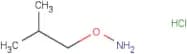 O-Isobutylhydroxylamine hydrochloride