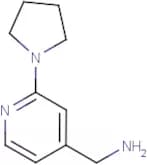(2-Pyrrolidin-1-ylpyrid-4-yl)methylamine