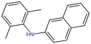 N-2,6-dimethylphenyl-2-naphthylamine