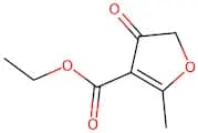 2-Methyl-4-oxo-4,5-dihydro-furan-3-carboxylic acid ethyl ester