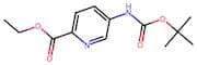 5-tert-Butoxycarbonylamino-pyridine-2-carboxylic acid ethyl ester