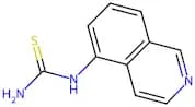Isoquinolin-5-yl-thiourea