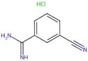 3-Cyano-benzamidine hydrochloride