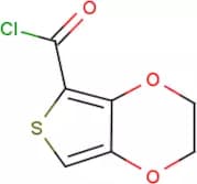 2,3-Dihydrothieno[3,4-b][1,4]dioxin-5-carbonyl chloride