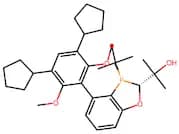 (R,R)-BaryPhos