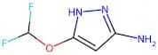5-(difluoromethoxy)-1H-pyrazol-3-amine