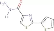 2-(2-Thienyl)-1,3-thiazole-4-carbohydrazide