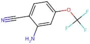 2-Amino-4-(trifluoromethoxy)benzonitrile