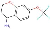 7-(Trifluoromethoxy)chroman-4-amine