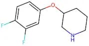 3-(3,4-Difluorophenoxy)piperidine