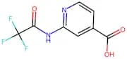 2-(2,2,2-Trifluoroacetamido)isonicotinic acid