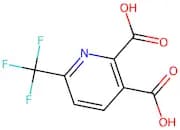 6-(Trifluoromethyl)pyridine-2,3-dicarboxylic acid