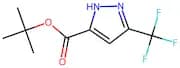 Tert-butyl 3-(trifluoromethyl)-1H-pyrazole-5-carboxylate