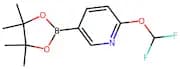 2-(Difluoromethoxy)-5-(4,4,5,5-tetramethyl-1,3,2-dioxaborolan-2-yl)pyridine