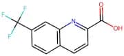 7-(Trifluoromethyl)quinoline-2-carboxylic acid